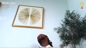 贝弗利：詹姆斯小卡字母哥各有杀招，文班亚马集三人特点于一身！